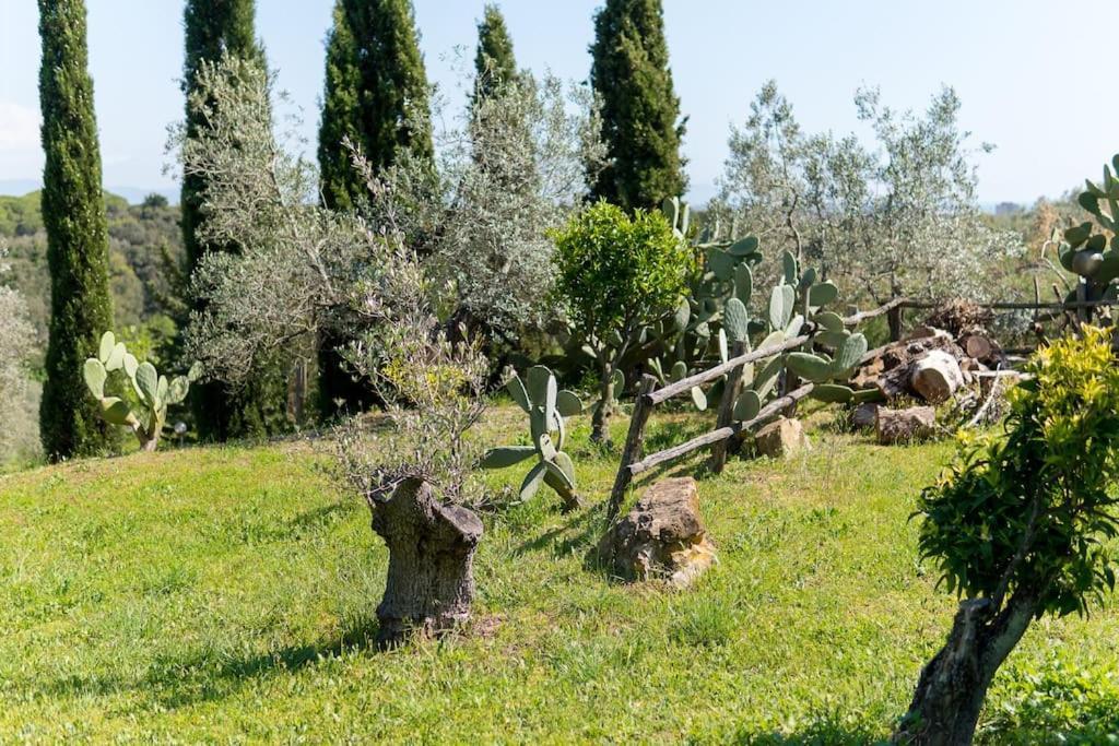 Agriturismo De Santis Castiglioncello Buitenkant foto