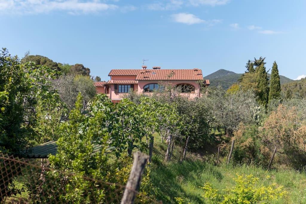 Agriturismo De Santis Castiglioncello Buitenkant foto